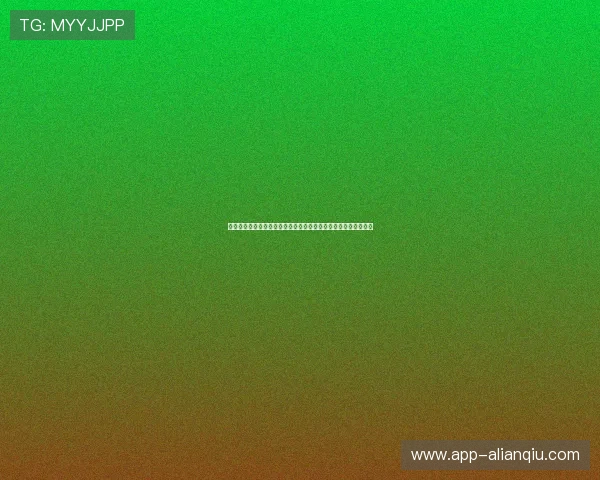 申博在线娱乐城安全保障措施，确保每一位玩家的资金与信息安全