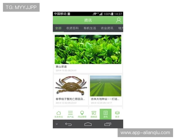 AG视讯网：全面解析最新游戏资讯与行业动态的权威平台